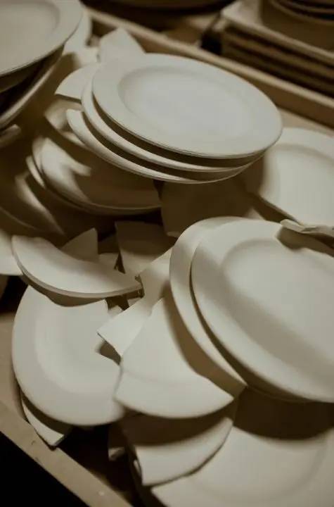 Antalya'nın Karanfili Sirtakide Tabak Kırmanın Yerini Aldı 3